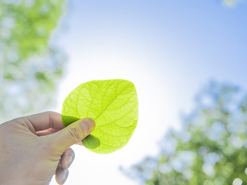 科学リテラシー